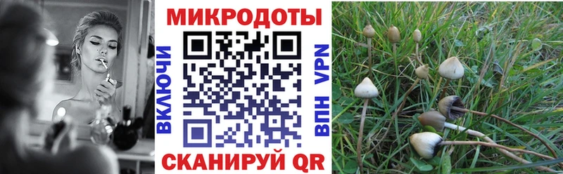 Галлюциногенные грибы GOLDEN TEACHER  Ликино-Дулёво 